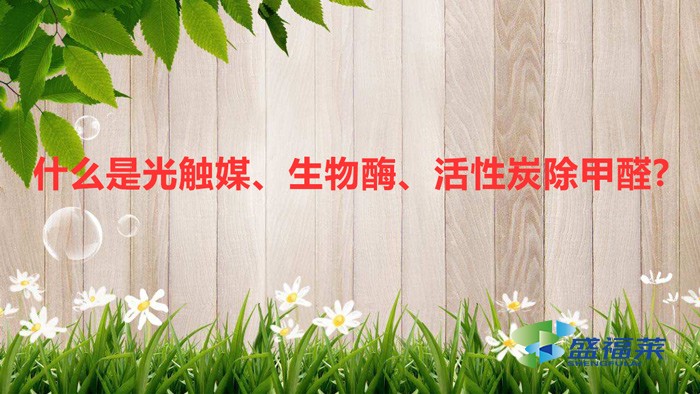 什么是光觸媒、生物酶、活性炭除甲醛?