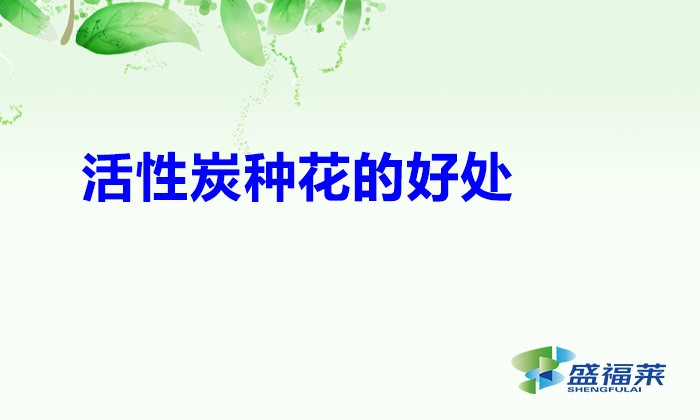 活性炭種花的好處(活性炭顆粒能種花嗎)