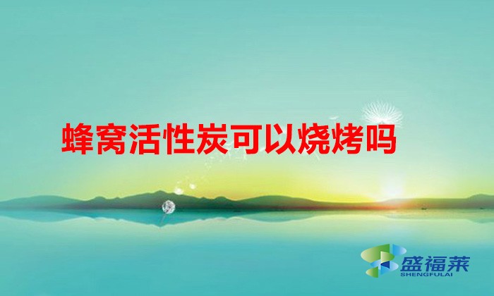 蜂窩活性炭可以燒烤嗎(用蜂窩活性炭燒烤需要注意什么)