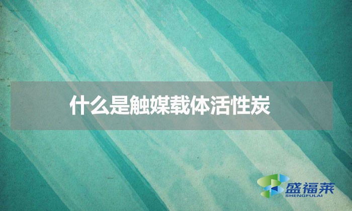 什么是觸媒載體活性炭(觸媒載體活性炭是什么意思)