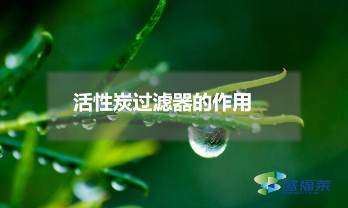 活性炭過(guò)濾器的作用(活性炭過(guò)濾器的應(yīng)用)