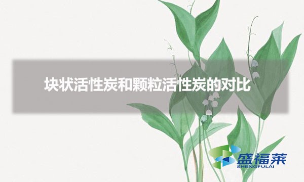 塊狀活性炭和顆粒活性炭的對(duì)比（塊狀和顆?；钚蕴坑心男┎煌?></div>
</a>
</li>
 
<li id=