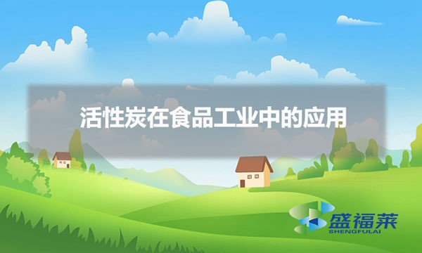 活性炭在食品工業(yè)中的應(yīng)用(活性炭在食品行業(yè)的作用)