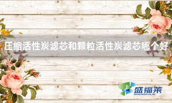 壓縮活性炭濾芯和顆?；钚蕴繛V芯哪個(gè)好 好在哪里？