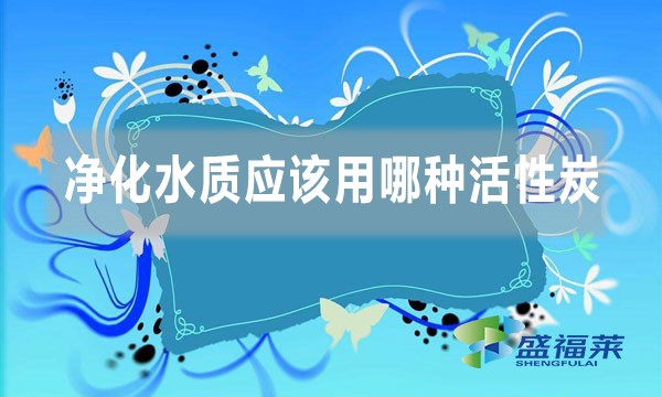 凈化水質(zhì)應(yīng)該用哪種活性炭(不同水質(zhì)使用不同類型的活性炭)
