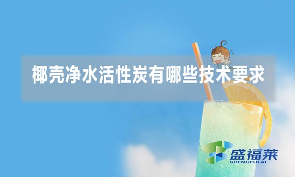 椰殼凈水活性炭有哪些技術(shù)要求,行業(yè)標(biāo)準(zhǔn)是什么?