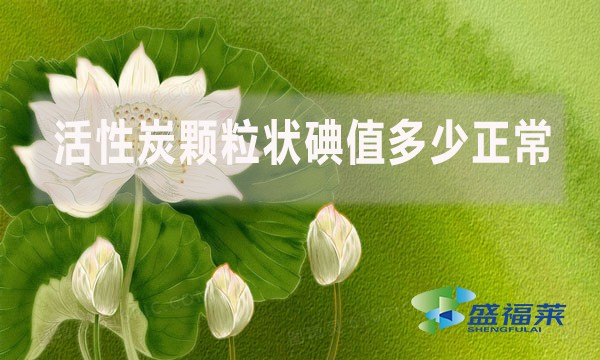 活性炭顆粒狀碘值多少正常？