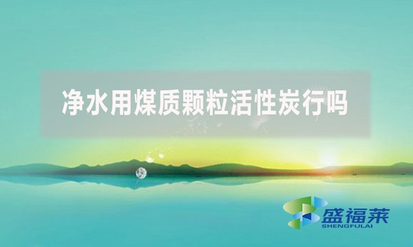 凈水用煤質(zhì)顆?；钚蕴啃袉?？