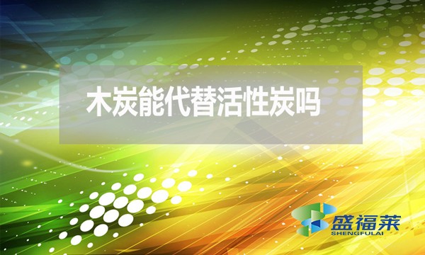 木炭能代替活性炭嗎？為什麼 ？