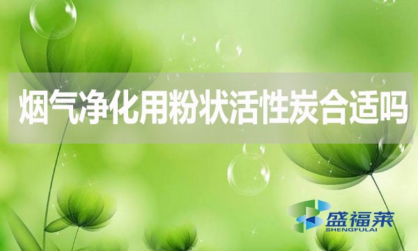 煙氣凈化用粉狀活性炭合適嗎?