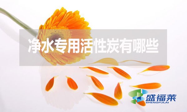 凈水專用活性炭有哪些？多少錢一噸？