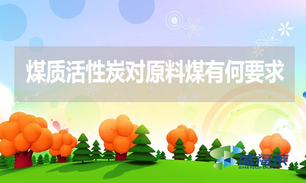 煤質(zhì)活性炭對(duì)原料煤有何要求？