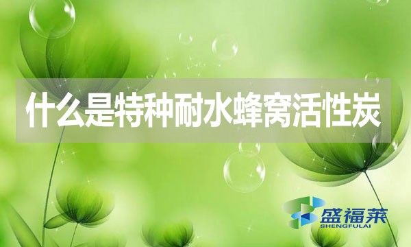 什么是特種耐水蜂窩活性炭？哪里能用到？