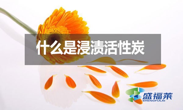 什么是浸漬活性炭？