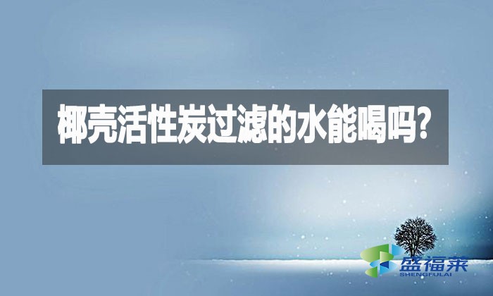 椰殼活性炭過濾的水能喝嗎?