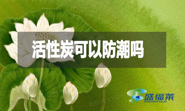 活性炭可以防潮嗎？活性炭防潮防霉效果測試