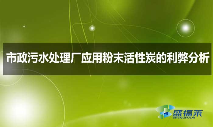 市政污水處理廠應(yīng)用粉末活性炭的利弊分析