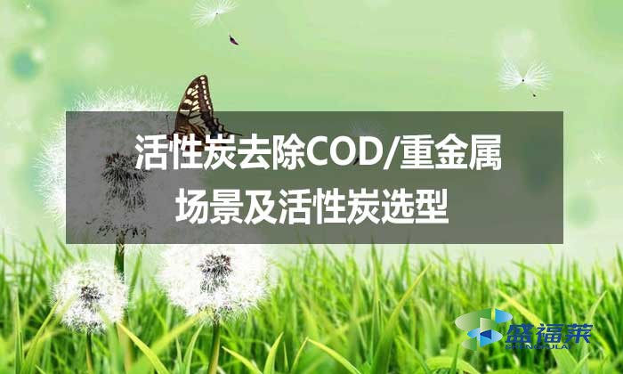 活性炭去除COD/重金屬場景及活性炭選型