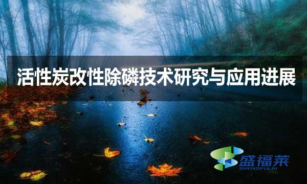 活性炭改性除磷技術(shù)研究與應用進展