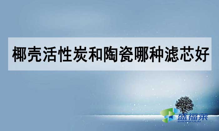 椰殼活性炭和陶瓷哪種濾芯好？如何選擇？